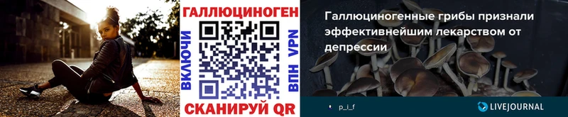 Псилоцибиновые грибы Psilocybe  MEGA вход  Королёв  где купить наркоту 
